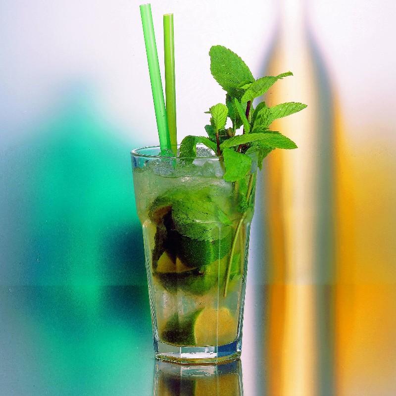 mojitococktail_1