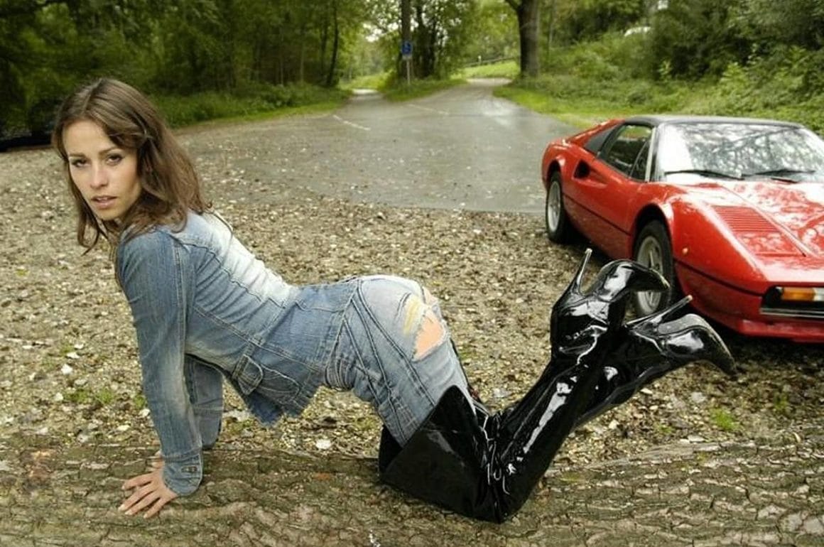 13112928_1011191255595978_3699566531751156294_o