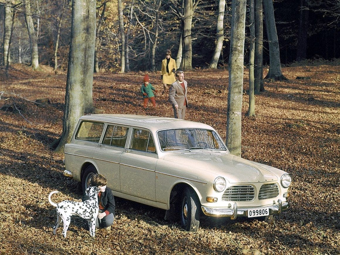 10-volvo-break-amazon-bois