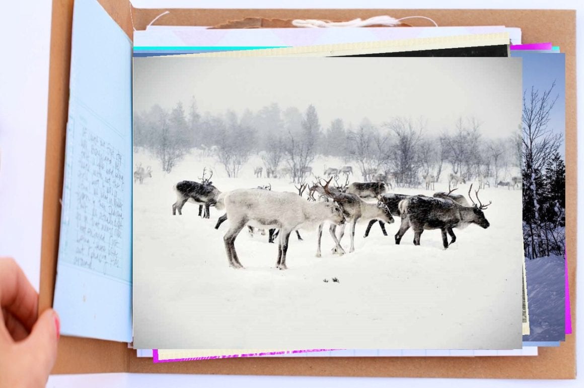 06-gatsby-laponie-finlandaise-rennes