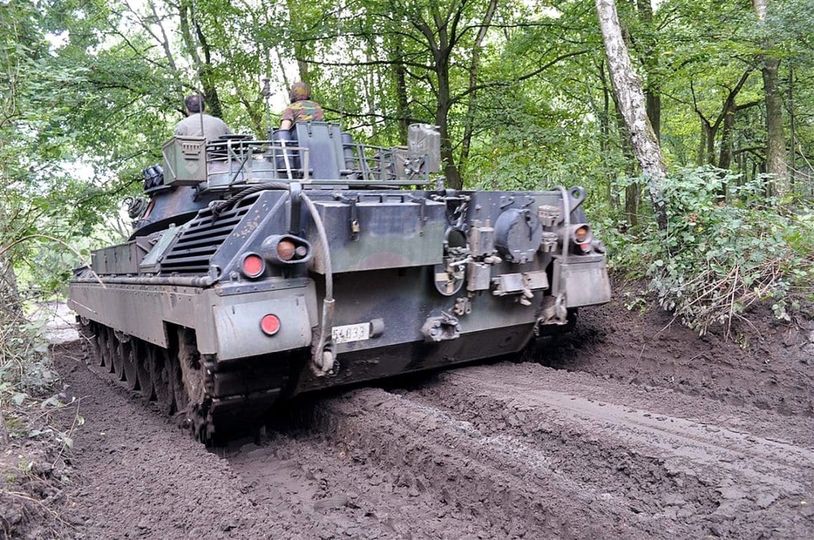 02-leopard-i-mov-vue-ar